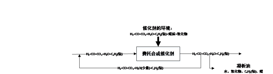 图 2.2.2 复杂费托合成示意图